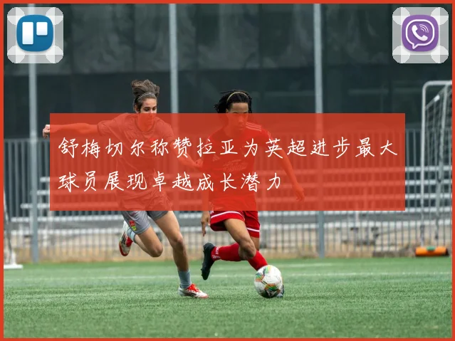 舒梅切尔称赞拉亚为英超进步最大球员展现卓越成长潜力